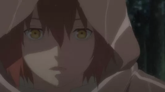 Image The Faraway Paladin 12