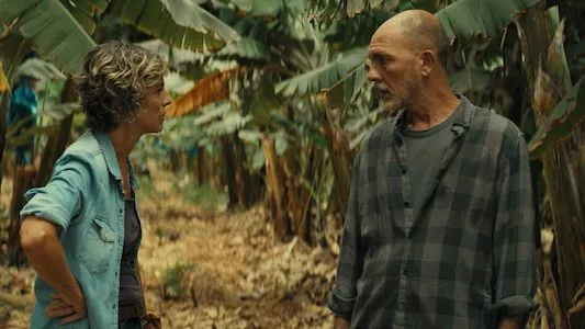 Image Hierro 4