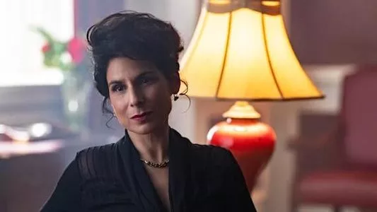 Image The Hardy Boys 6