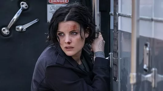 Image Blindspot 22