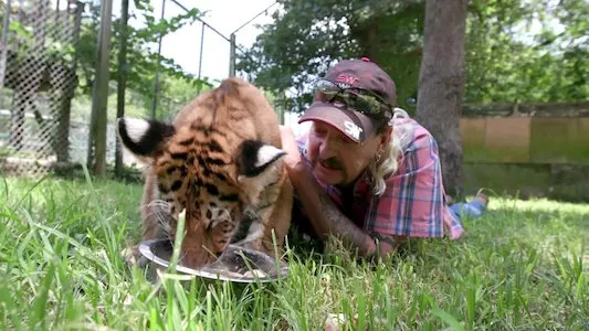 Image Tiger King 6